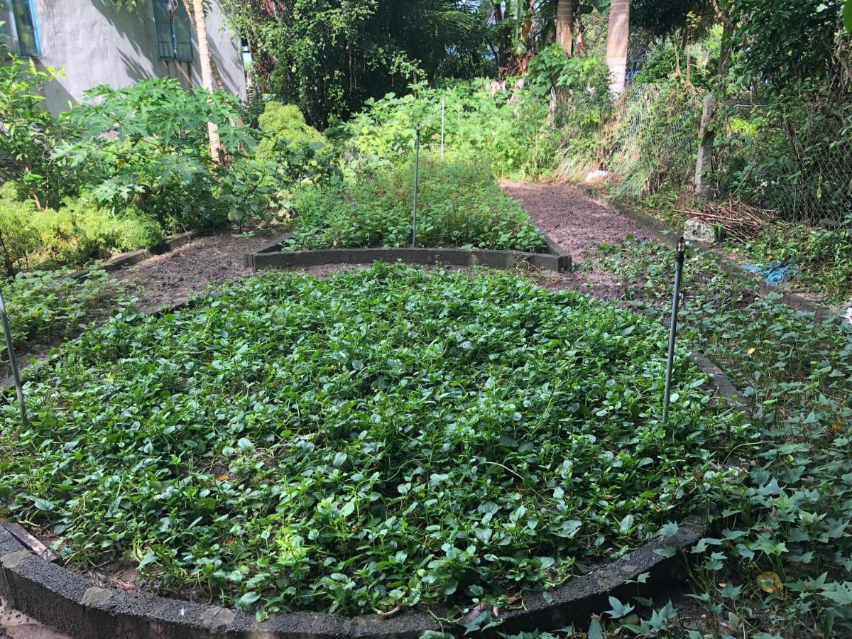 Huong Tram Homestay Ho Da Exterior foto