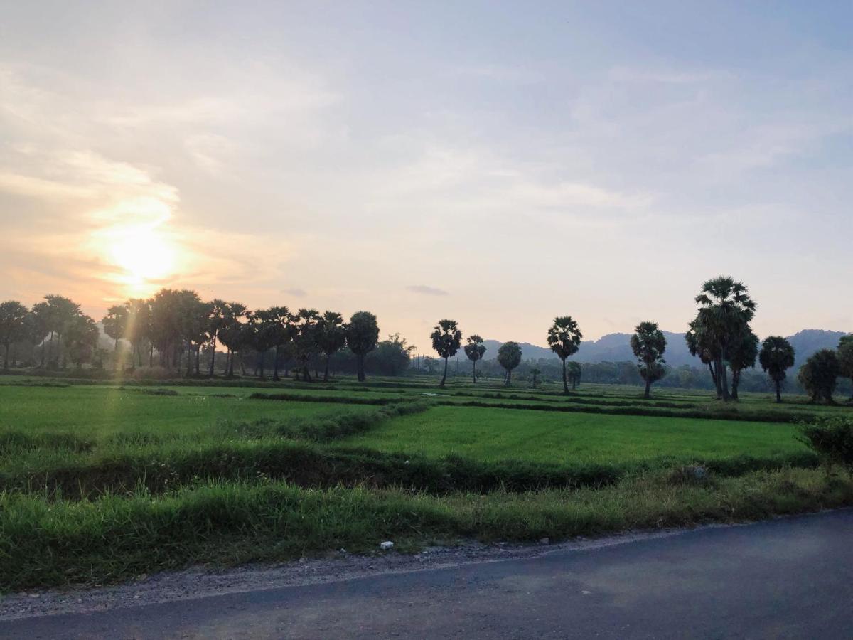 Huong Tram Homestay Ho Da Exterior foto